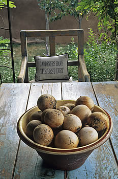 carol-anthony_gardeners-have-the-best-dirt_mann_005