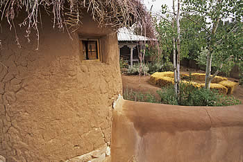 carol-anthony_santuario-and-wall_mann_003